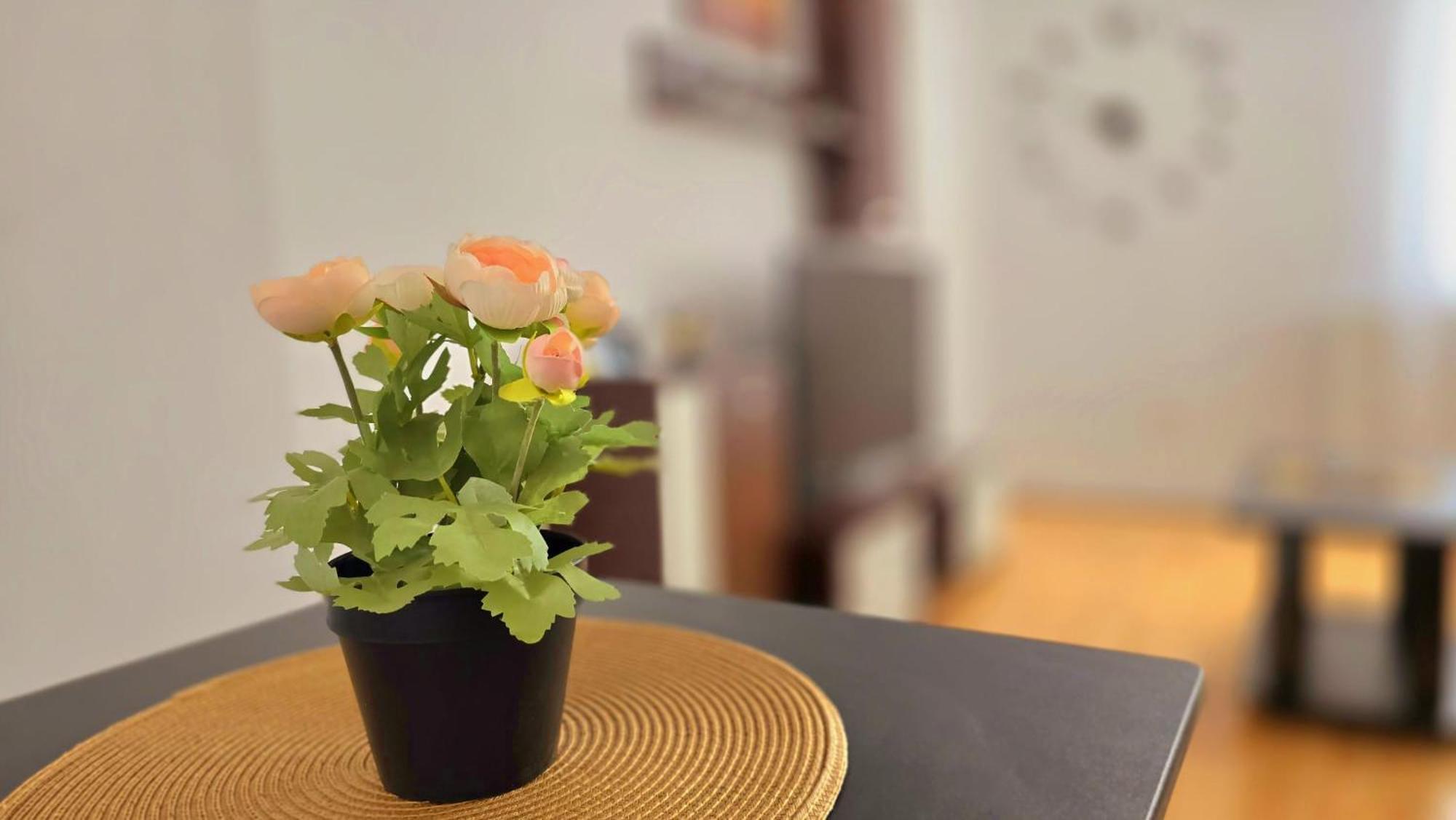 Apartament Confort Hd Хунедоара Екстер'єр фото